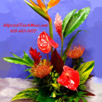 DAILY TROPICAL SPECIAL 24" tall X 19 Across